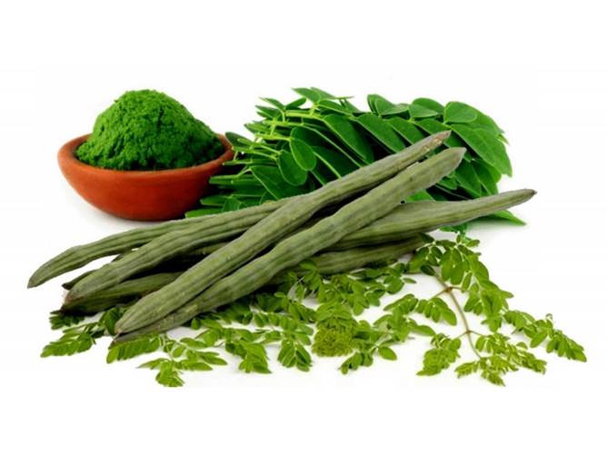 MORINGA