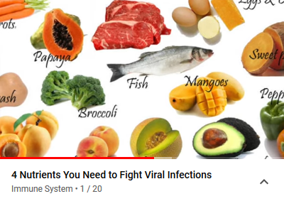 4 Nutrients You Need to Fight Viral Infections