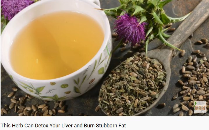 This Herb Can Detox Your Liver and Burn Stubborn Fat